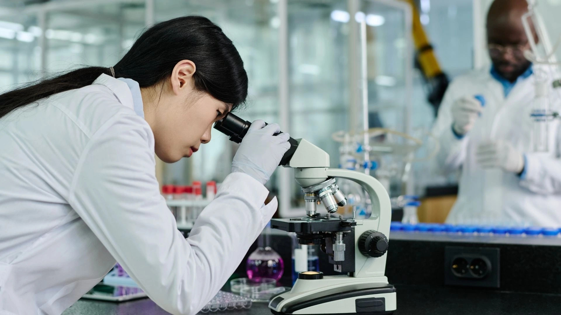 Sulforafán Prírodná molekula s výnimočným potenciálom pre ľudské zdravieac